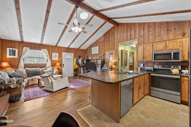 4413 E Scenic Dr, Gatlinburg, TN 37738 - photo 7