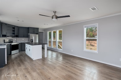 607 Nettleton Dr, Princeton, LA 71067 - photo 5