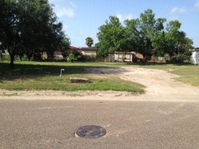 2109 Moodie Ave, Donna, TX 78537 - photo 2