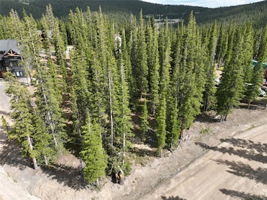 Aerial street view of property