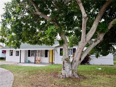 Beautiful tree in the front yard.