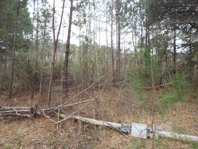 143 Dixon Ln, Cordesville, SC 29434 - photo 2