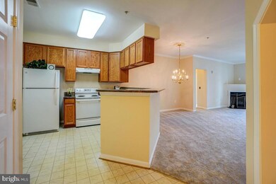 2605 Chapel Lake Dr unit 214, Gambrills, MD 21054 - photo 6