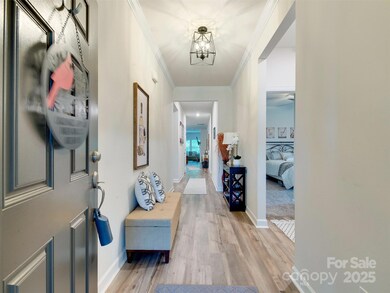 2413 Riparian Way, Denver, NC 28037 - photo 4