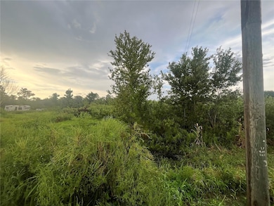 0 E State Road 60 unit MFROK224263, Yeehaw, FL 34972 - photo 7