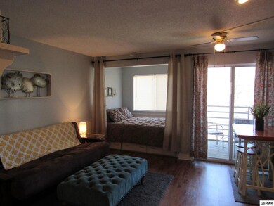 Additional View 4