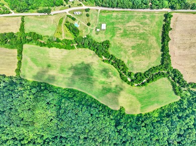 8318 Sinking Creek Rd, Linden, TN 37096 - photo 3