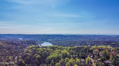 view_1