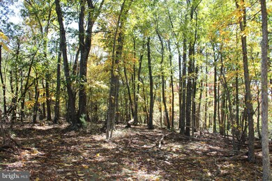 40.00 AC Shenandoah Mountain Rd, Mathias, WV 26812 - photo 5