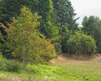 2620 324th St NW, Stanwood, WA 98292 - photo 6