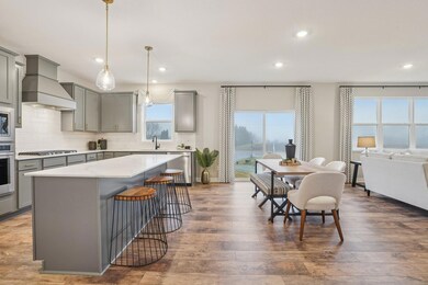 1741 Oak Creek Pass, Chaska, MN 55318 - photo 4