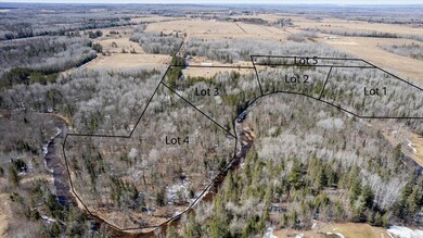 9377 E Wood Lot 2 Rd, Poplar, WI 54864 - photo 4