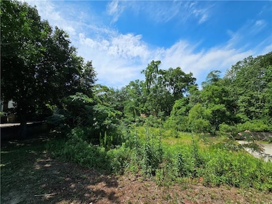 View of local wilderness