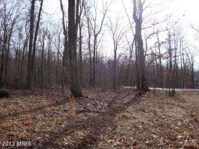 77 Driftwood Dr, Gerrardstown, WV 25420 - photo 6