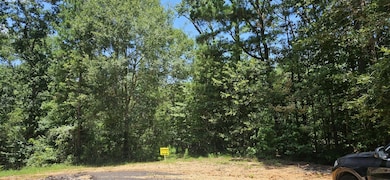 00 Blanks Bend Rd, Coldspring, TX 77331 - photo 4