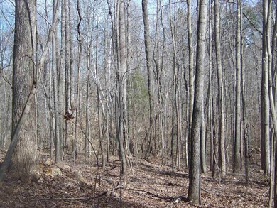 00 Lewis Rd, Oxford, NC 27565 - photo 4