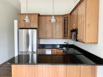 764 Tremont St unit 3, Boston, MA 02118 - photo 2