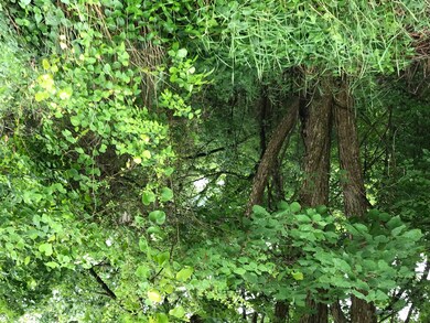 Lot 21 High, Kimberling City, MO 65686 - photo 3