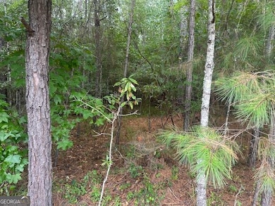 0 Edgewater Dr unit 10595879, Eatonton, GA 31024 - photo 4