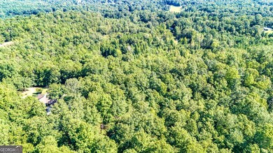 830 Mountain View Rd, Talladega, AL 35160 - photo 4