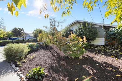 5490 Wilke Dr, Concord, CA 94521 - photo 3