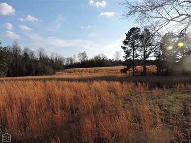 2616 N Culberhouse St, Jonesboro, AR 72401 - photo 6