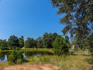 141 N Forest Dr, Huntsville, TX 77340 - photo 4