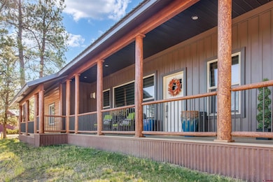 475 Hills Cir, Pagosa Springs, CO 81147 - photo 3