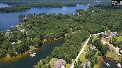 lot 2 Saint Thomas Church Rd, Chapin, SC 29036 - photo 4