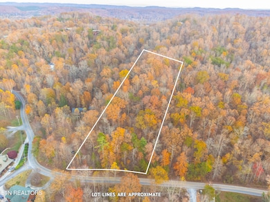 Lot 84 Indian Shadows Dr, Ten Mile, TN 37880 - photo 4