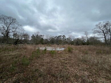 13720 Highway 59, Splendora, TX 77372 - photo 7