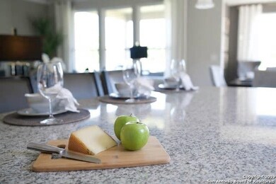 10303 Dunlap, San Antonio, TX 78252 - photo 4