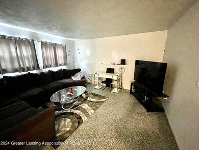 5310 Balzer St, Lansing, MI 48911 - photo 5