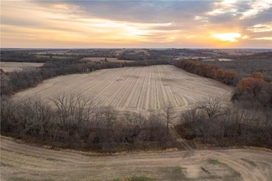 TBD SE Sparks Rd, Braymer, MO 64625 - photo 2