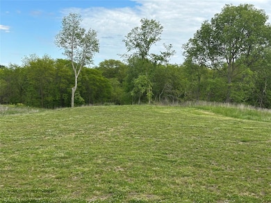 Established treeline to the south and east