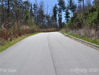 36.35 ACRES Half Moon Trail, Hendersonville, NC 28792 - photo 4