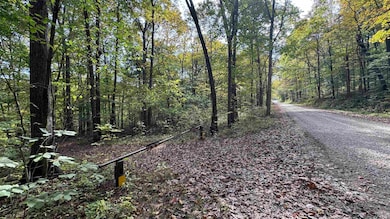 5139 Peggy Hollow Rd, Shoals, IN 47581 - photo 2