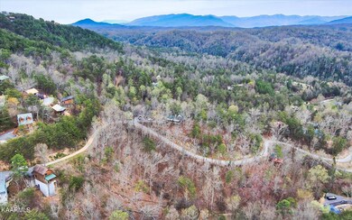 4-Red-Bone-Way-Sevierville-TN-4