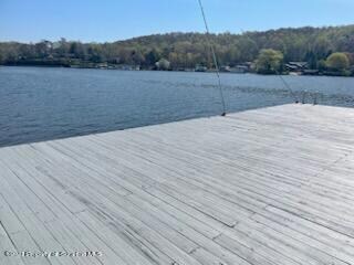 Pole 115 Lakeside Dr, Harveys Lake, PA 18618 - photo 7