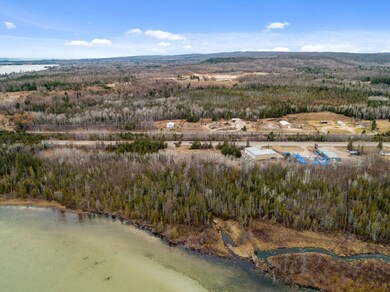 8503 S Us 31 Hwy, Alanson, MI 49706 - photo 3