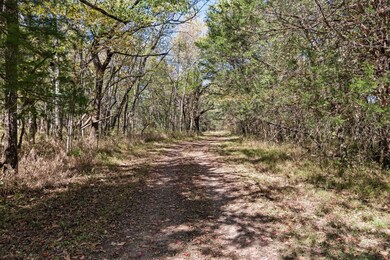 318 Snell Rd, Shelbyville, TN 37160 - photo 6