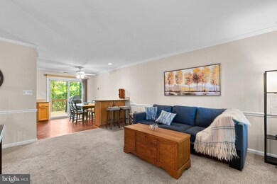 5409 Fantail Dr, Sykesville, MD 21784 - photo 5