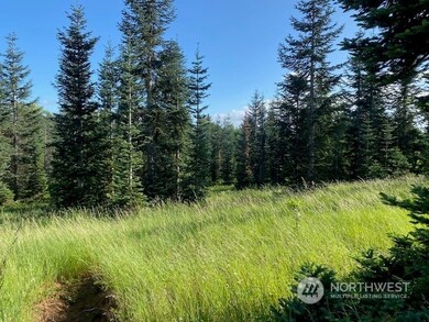 135 Homer Ln, Chehalis, WA 98532 - photo 7