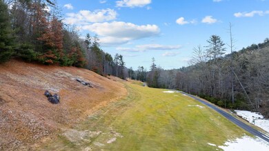 Lt 11 Trillium Ridge Rd, Cullowhee, NC 28723 - photo 4