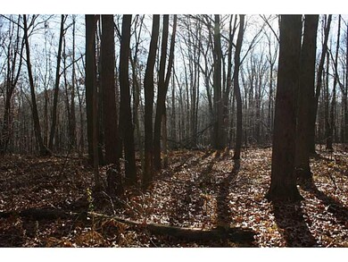 Exterior Front. Private wooded setting