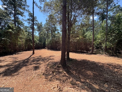 TRACTS 2-4 Old Rumble Rd, Forsyth, GA 31029 - photo 2