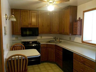 Kitchen. oak cabinets
