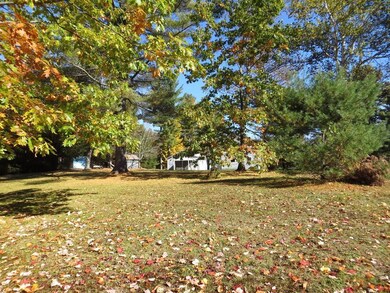 Another view of the back yard.