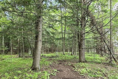 Perfect for weekend camping trips