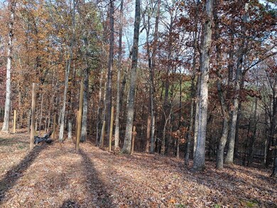 1681 Carters Rd unit 109, Chatsworth, GA 30705 - photo 4